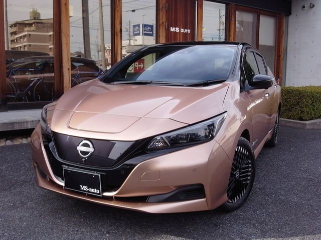 2023 Nissan Leaf