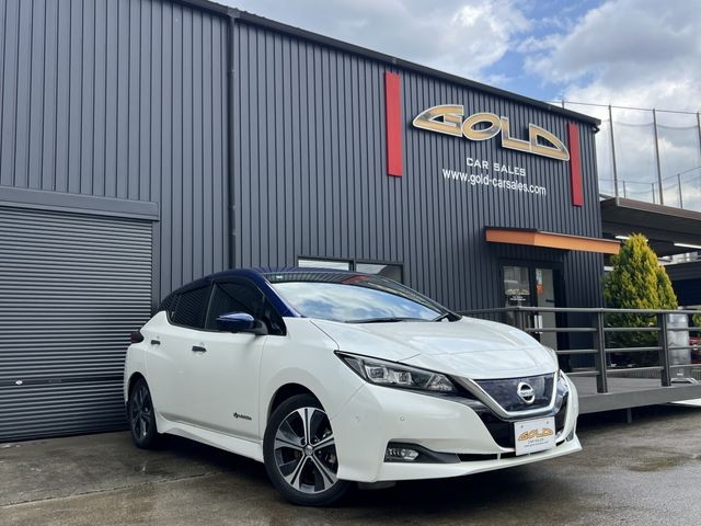 2017 Nissan Leaf