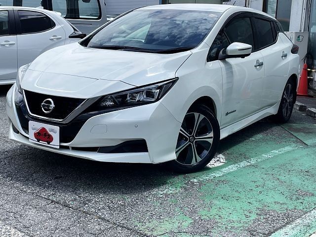2019 Nissan Leaf