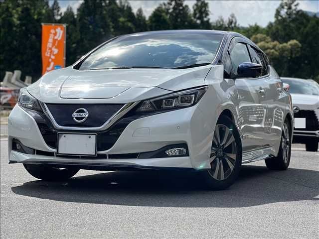2019 Nissan Leaf