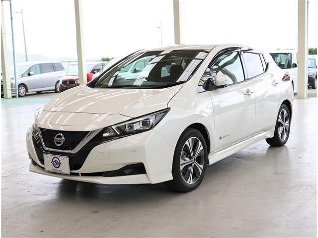 2020 Nissan Leaf