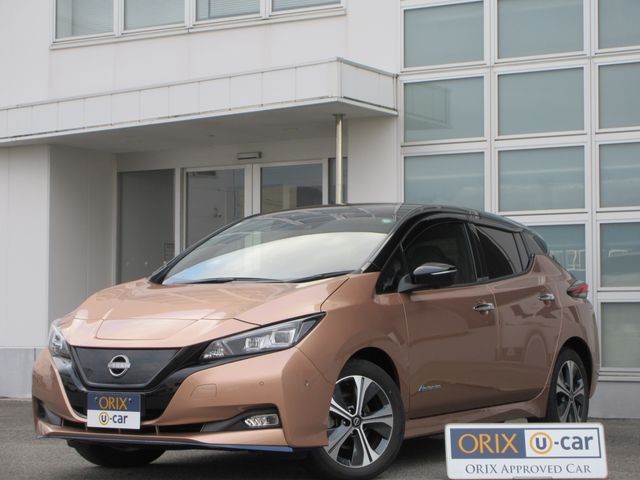 2021 Nissan Leaf