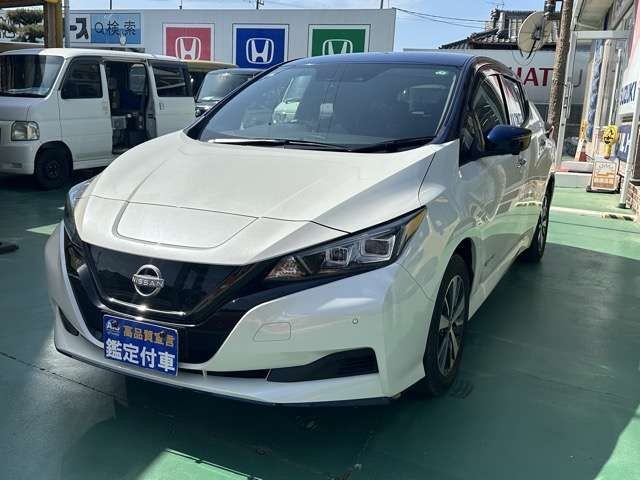 2021 Nissan Leaf