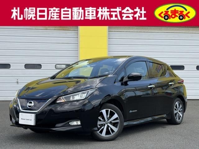 2020 Nissan Leaf