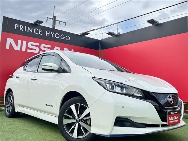 2021 Nissan Leaf