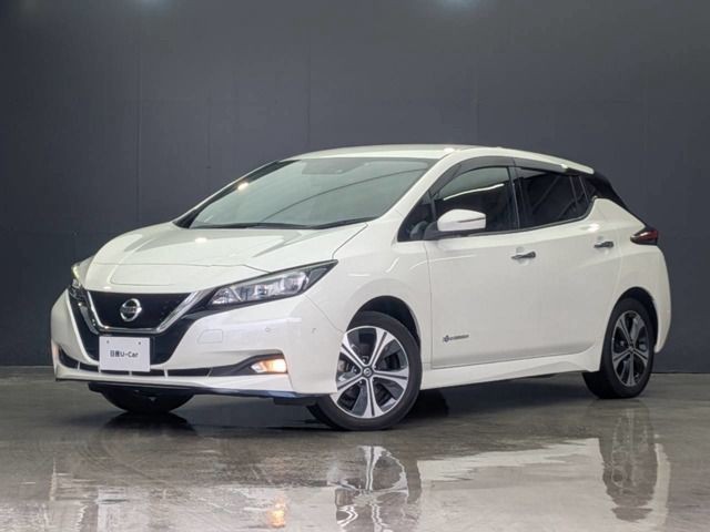 2021 Nissan Leaf