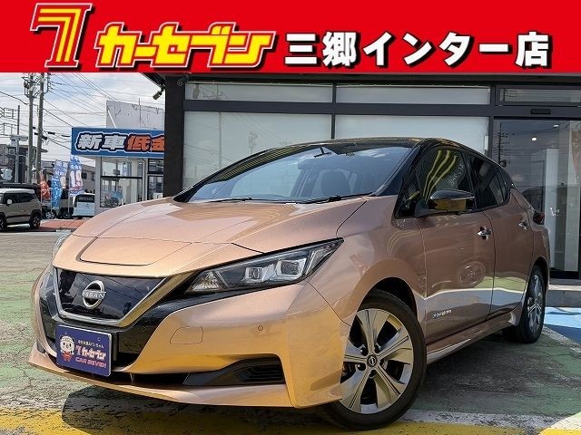 2021 Nissan Leaf