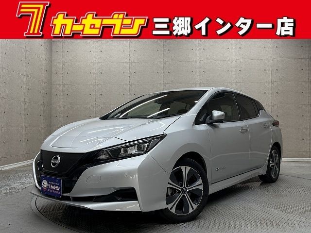 2022 Nissan Leaf