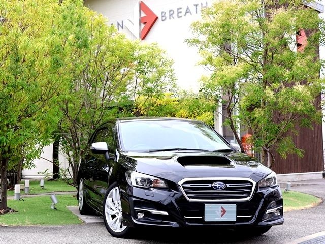 2019 Subaru Levorg