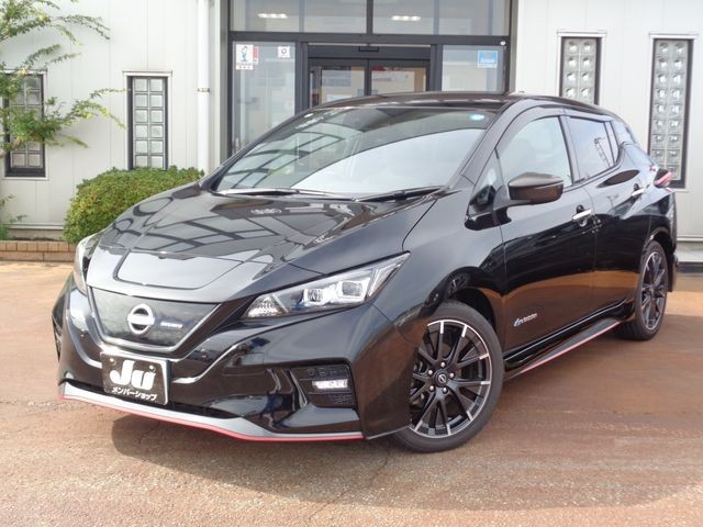 2022 Nissan Leaf