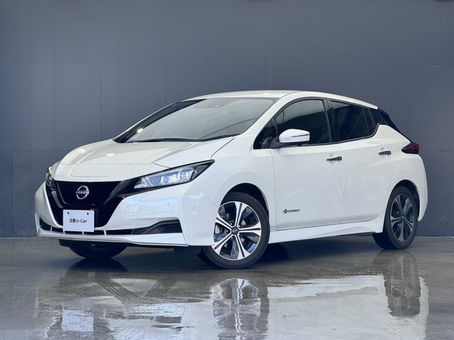 2021 Nissan Leaf