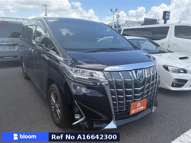 2019 Toyota Alphard HV