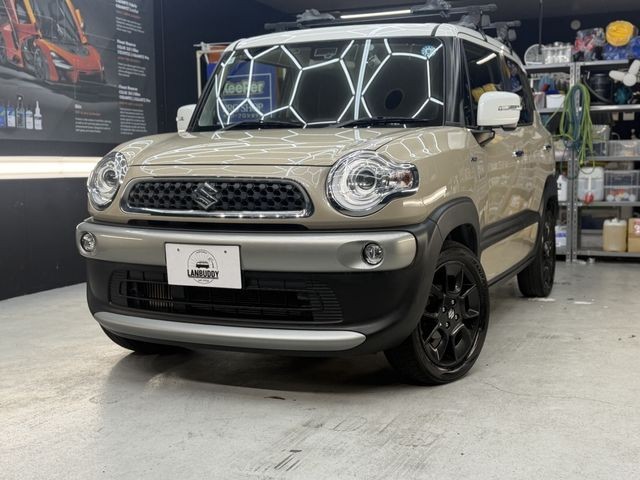 2018 Suzuki X BEE