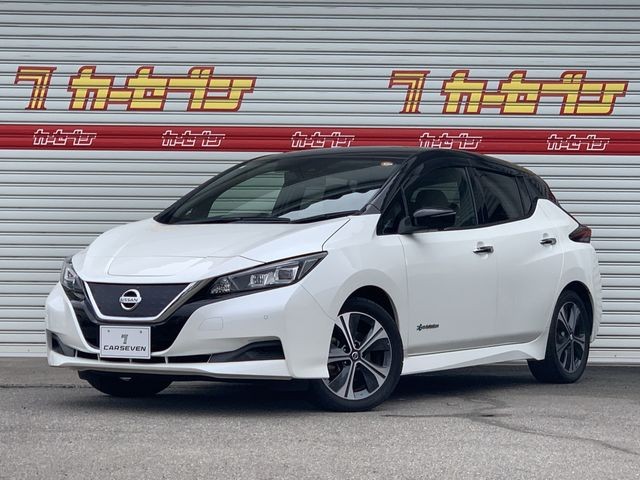 2020 Nissan Leaf