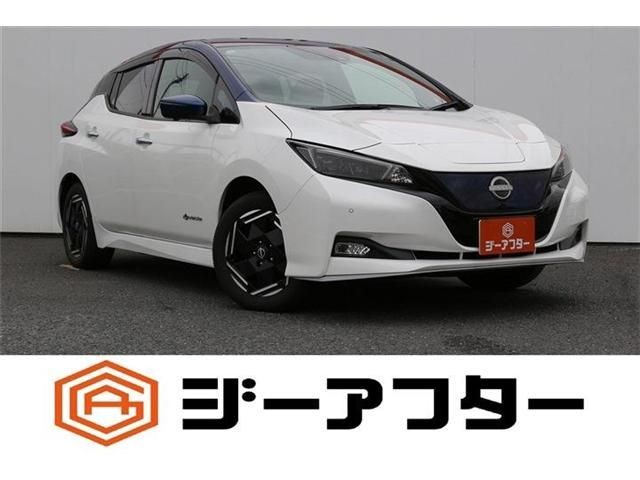 2022 Nissan Leaf