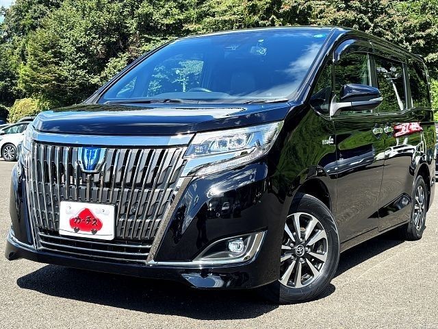 2020 Toyota Estima HV