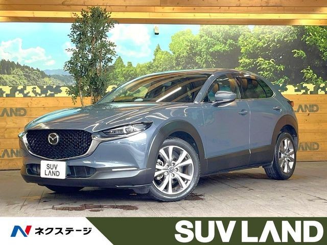 2019 Mazda CX-30