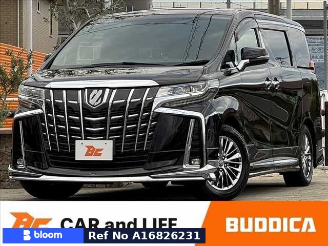 2019 Toyota Alphard