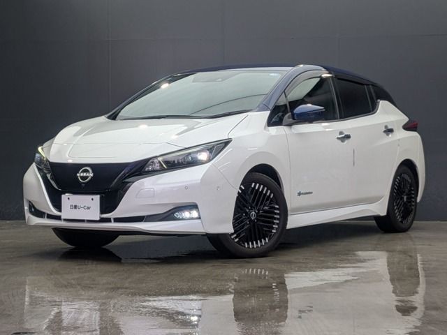 2022 Nissan Leaf