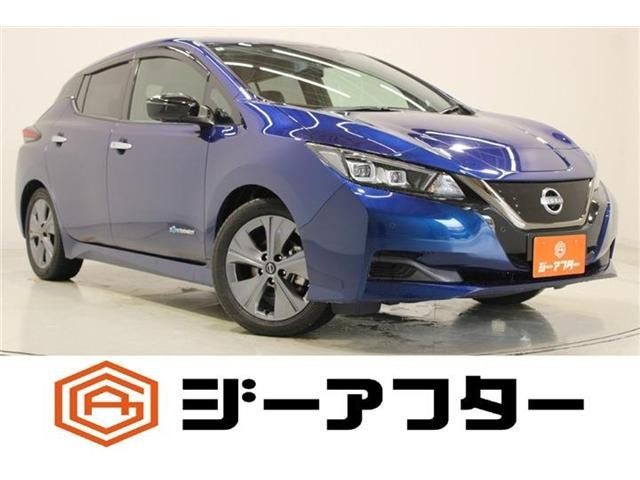2021 Nissan Leaf