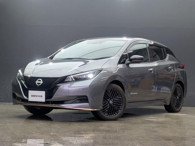 2023 Nissan Leaf