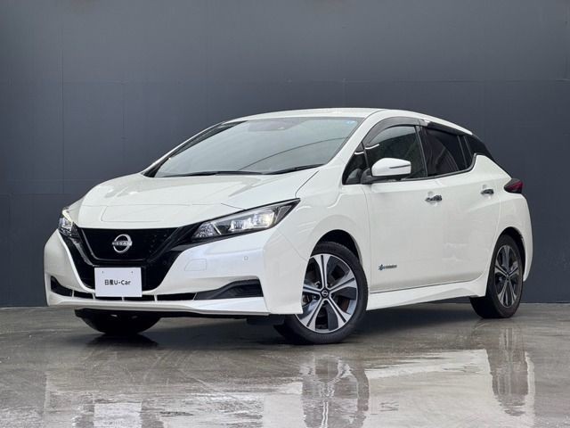 2021 Nissan Leaf