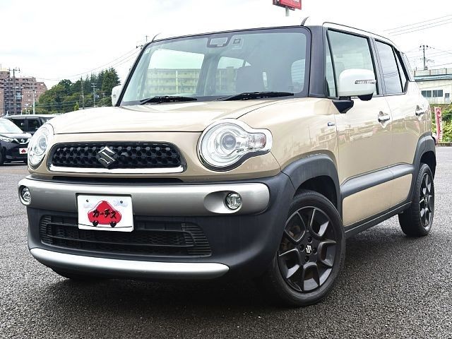 2019 Suzuki X BEE