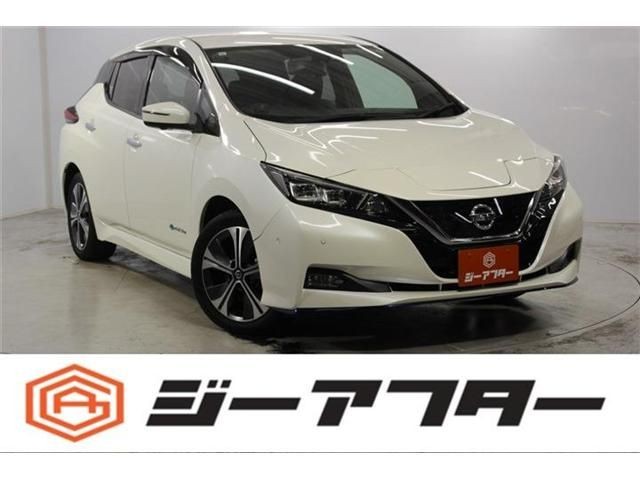 2019 Nissan Leaf