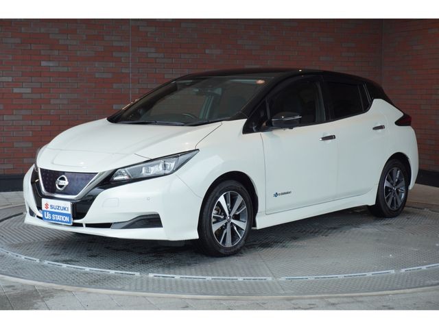 2019 Nissan Leaf