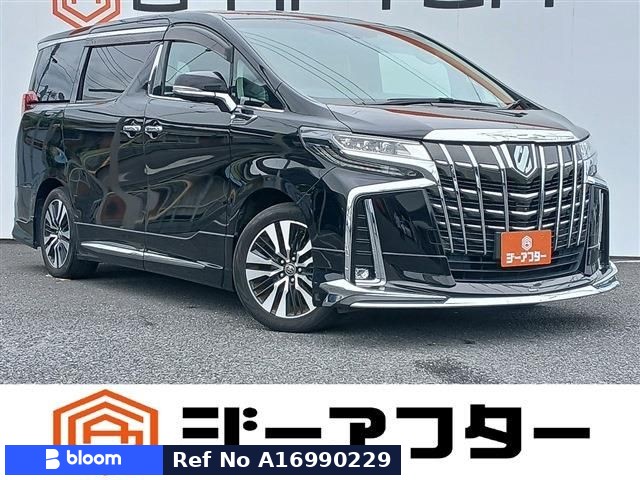 2019 Toyota Alphard
