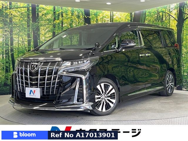 2020 Toyota Alphard