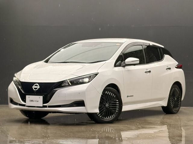 2022 Nissan Leaf