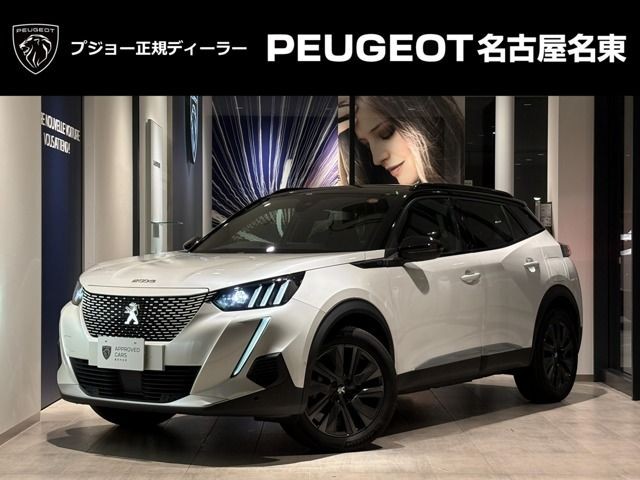 Peugeot E-2008