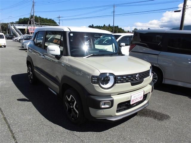 Suzuki X BEE