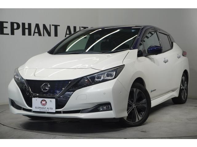 2018 Nissan Leaf