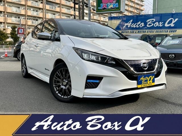 2019 Nissan Leaf