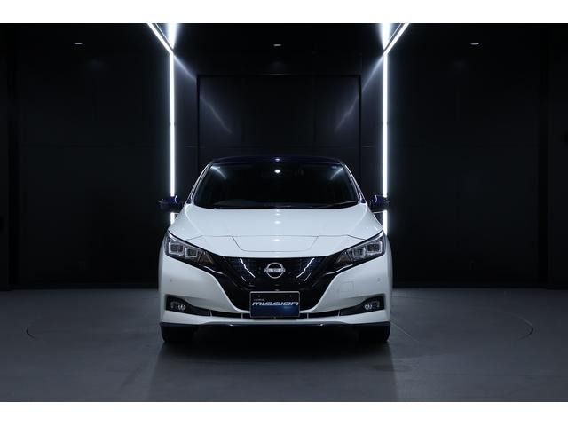 2022 Nissan Leaf