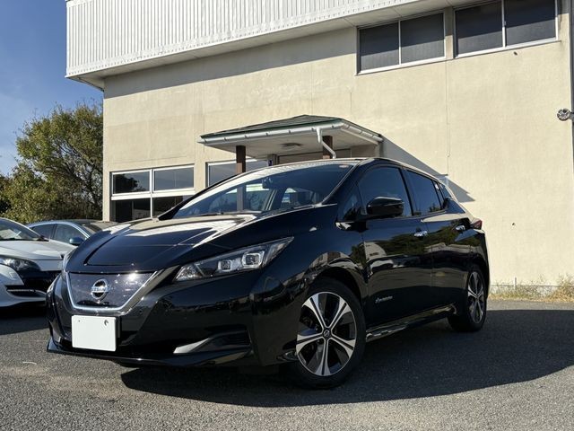 2020 Nissan Leaf