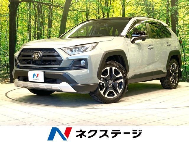 2019 Toyota RAV4