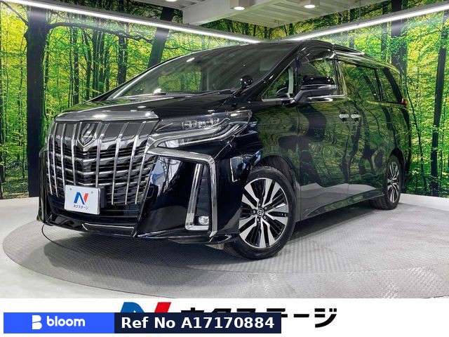 2019 Toyota Alphard
