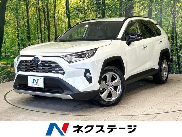 2020 Toyota RAV4 HV