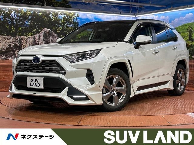 Toyota RAV4 HV