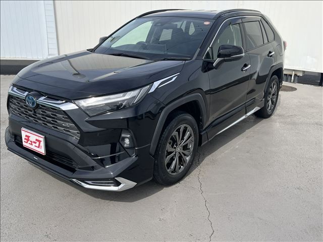 Toyota RAV4 HV