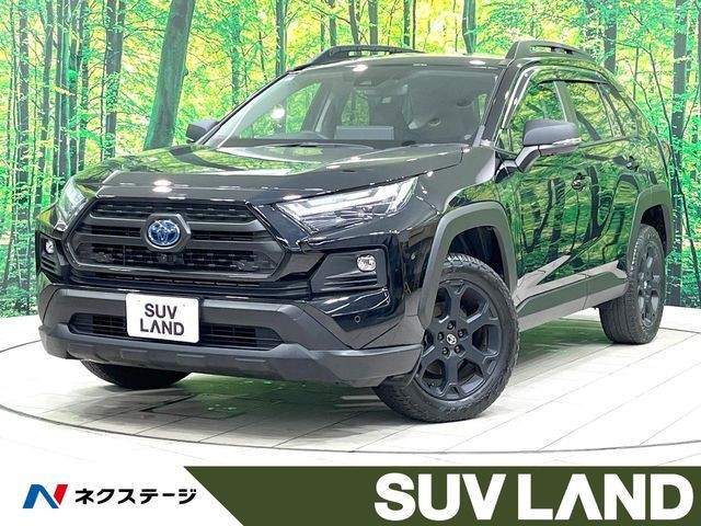 Toyota RAV4 HV