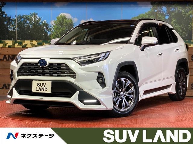 Toyota RAV4 HV