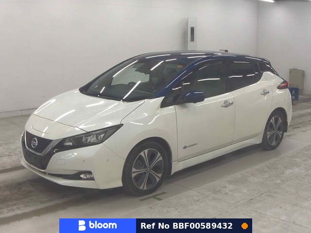 2019 Nissan Leaf