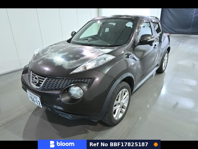2010 Nissan Juke