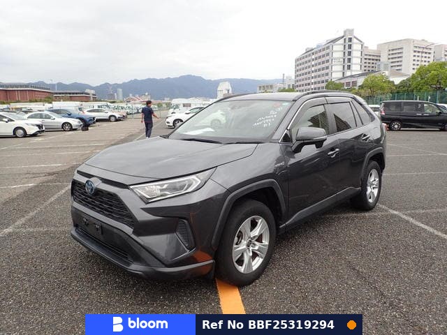 2019 Toyota RAV4