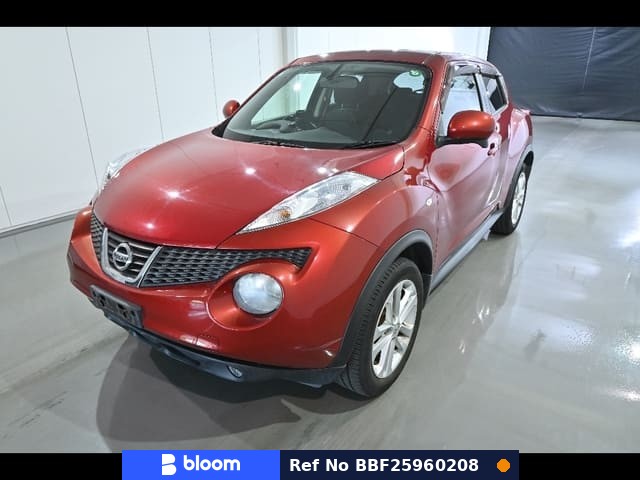 2011 Nissan Juke