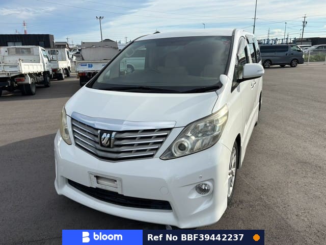 2010 Toyota Alphard